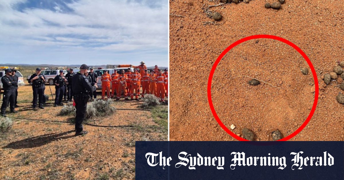 Footprint found as desperate search for missing four-year-old continues