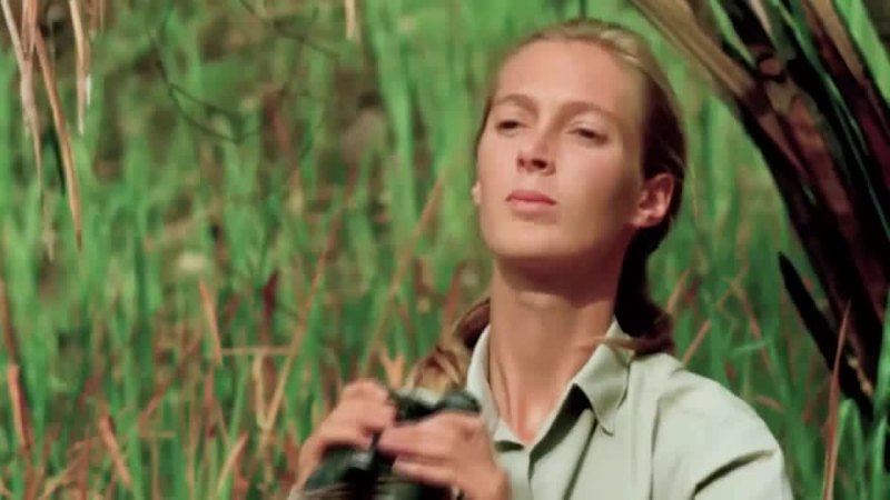Jane Goodall observing chimpanzees in Tanzania
