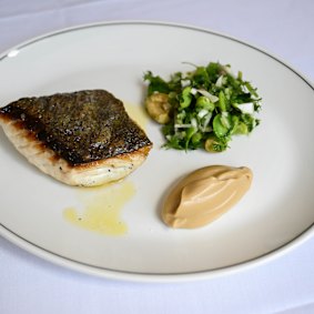 Blue-eye with chopped salad at Bar Carolina.