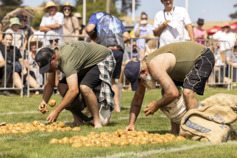 Spud quest: Mark McQualter (right) won the professional potato picking competition.