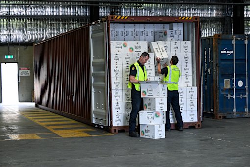 A shipping container full of illegal cigarettes at the Port of Melbourne.