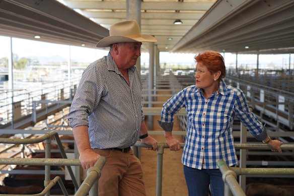 Joyce ended months of speculation in December, confirming he’d leave the Nationals and join One Nation.