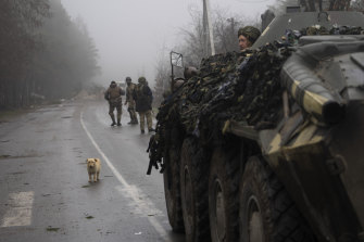 Des soldats de l'armée ukrainienne participent à un ratissage militaire près de Kiev.