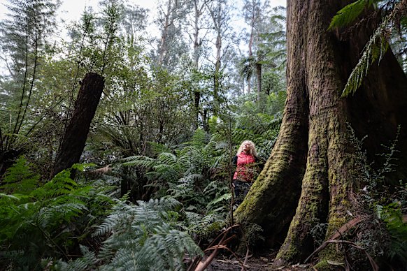 Environmental campaigner Sarah Rees.