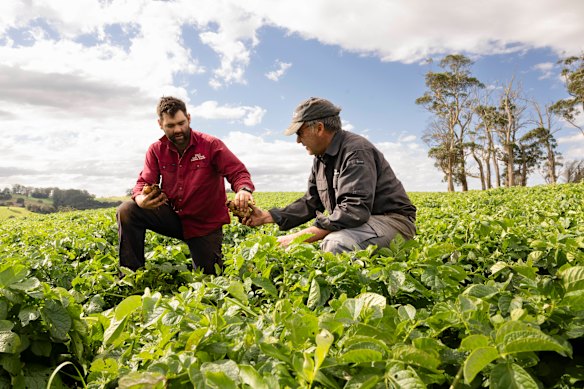 Jon Hill with his son Ryan Hill on their potato farm.