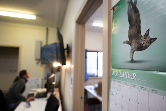 The office of the feral cat eradication program on Kangaroo Island.