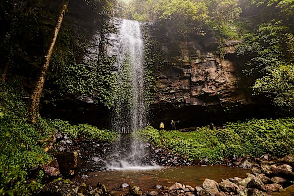 Crystal Shower Falls walk, Dorrigo National Park.