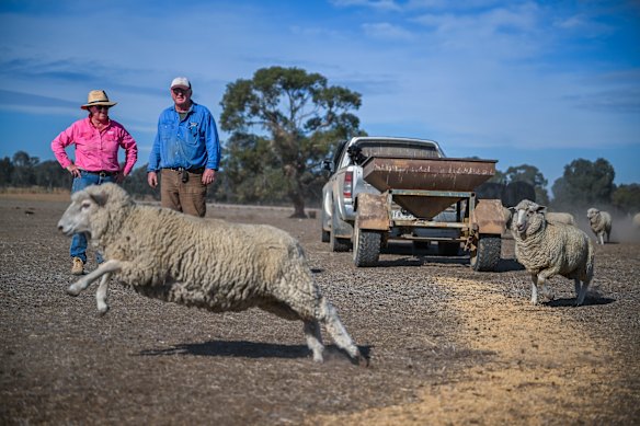 The Greens’ farm in May, when the drought was hitting hard. 
