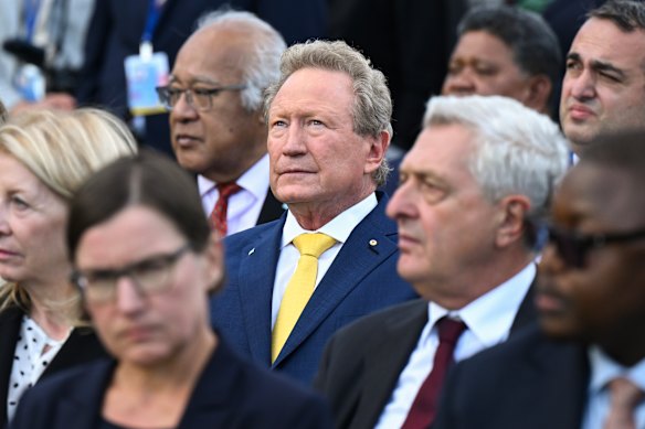  Andrew Forrest at the United Nations last year. 