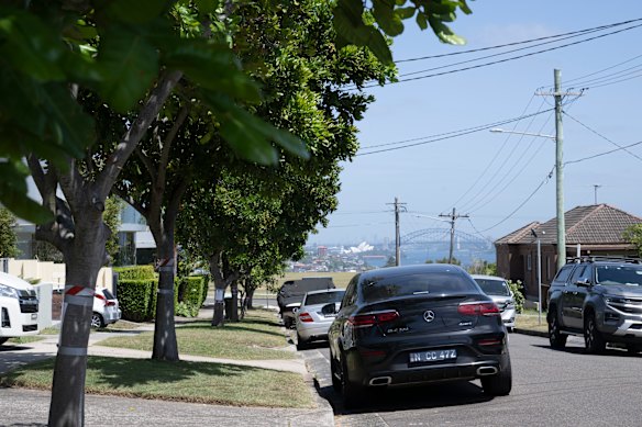Waverley Council will remove these trees from Myuna Road after a petition from locals. 