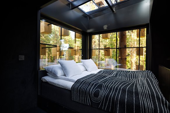 One of the architect-designed rooms set in a pine forest.