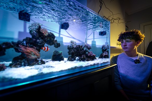 Charlie Brookman is a young and enthusiastic aquascaper with two tanks at home, he also works at the aquarium.