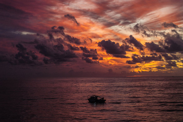 A contracted shark netting boat off Warriewood Beach in the northern beaches.
