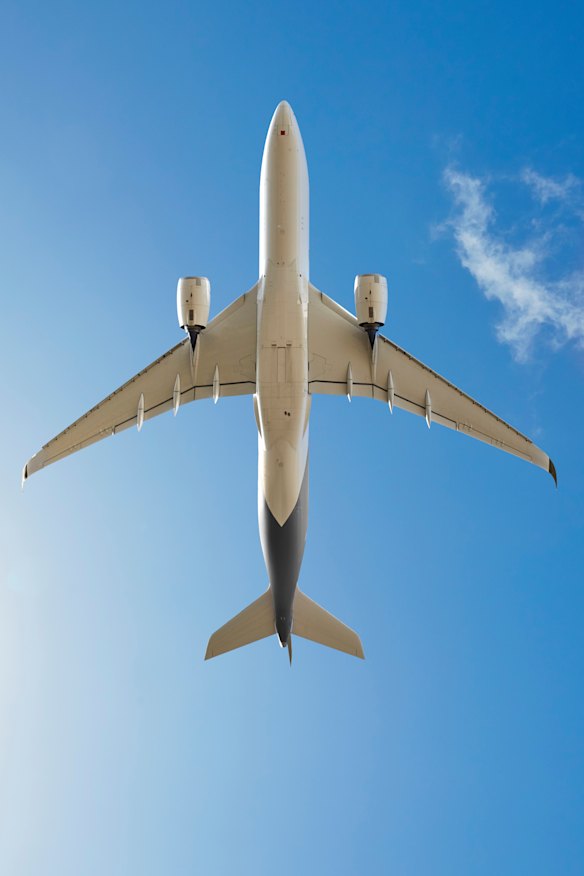 Plane spotters know the make and model of the aircraft they see - such as this A350 - through their own expertise and often thanks to the Flightradar24 app, which traces live plane movements throughout the world, mainly using radio signals
broadcast from cockpit transponders.