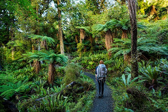 Stewart Island, Rakiura Track.