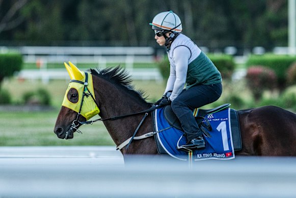 Ka Ying Rising works at Canterbury on Monday.
