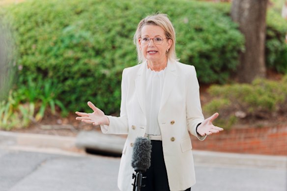 When Sussan Ley stepped into one of the toughest jobs in politics, she also contributed to Australia’s highest-ever ranking for gender equality in politics in this year’s World Economic Forum’s Global Gender Gap Report.