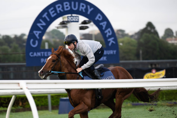 Racing returns to Canterbury on Wednesday.