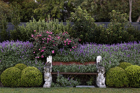 Even the seats have been overtaken by lavender at Fairfield Hall. 