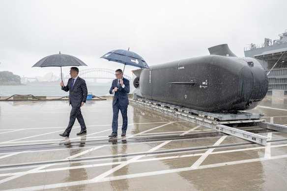 Deputy Prime Minister Richard Marles and Defence Industry Minister Pat Conroy at Garden Island, Sydney, last month.