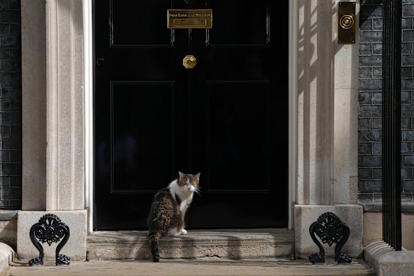 Larry the cat, Chief Mouser to the Cabinet Office, sits on the doorstep to No10 Downing Street as Labour Party leader Andy Burnham is set to become the U.K.’s new prime minister on Monday, succeeding Keir Starmer in London.