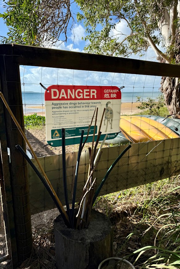 Dingo warning signs at the entry to the beach out the front of Kingfisher Resort on K’gari.