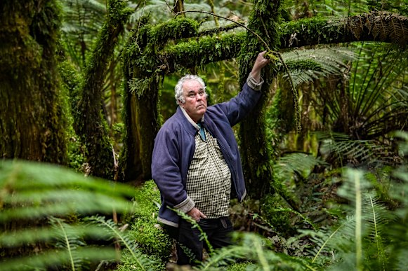 Victorian National Parks Association executive director Matt Ruchel in Wombat State Forest.