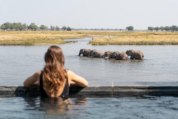 Pool views at Sausage Tree Camp, Zambia. 