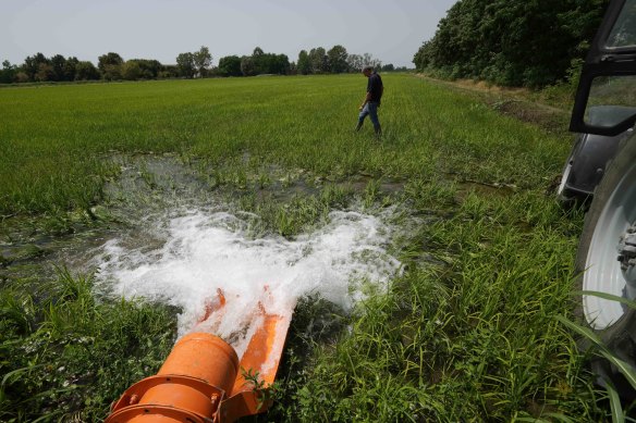 A rice farmer walks on a paddy field in Italy's Po Valley as the dewatering pump delivers water from a canal to a dried paddy field.