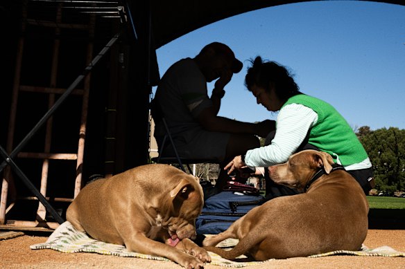 Nurse Emma Barnett with another homeless patient, Gilly, and his companions. 