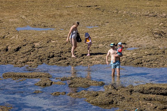 Beachgoers explore rock pools at the back beach. 