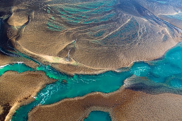 Montgomery Reef from the air.
