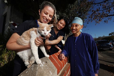  Elwood the cat with Epworth hospital staff members Jacqui Dingle, Diana Lee and Romi Basiri.