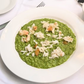 Zucchini risotto with spanner crab at Scopri
