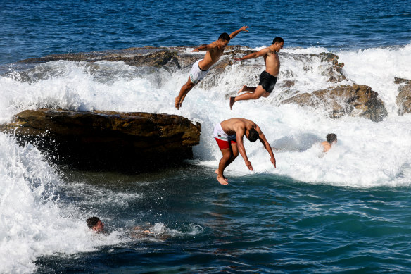 Swimmers leap disconnected  Giles Baths successful  Coogee connected  Sunday.