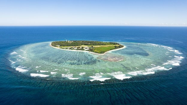 Manta rays, turtles, reef sharks and even humpback whales can be spotted around the idyllic Lady Elliot Island, at the southern tip of the Great Barrier Reef.