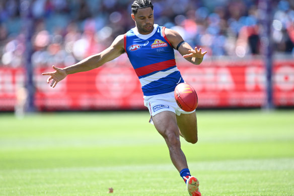 Jason Johannisen in action for the Western Bulldogs last season.