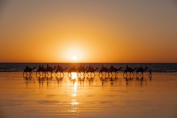 Camel rides at sunset along Broome’s Cable Beach are an emblematic tourist attraction of the Kimberley town.