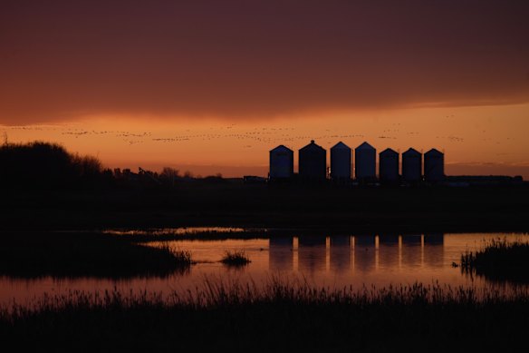 Alberta, home to the world’s fourth-largest proven oil reserves, is cowboy country and a conservative stronghold whose political culture has long had more in common with the American west than much of Canada.