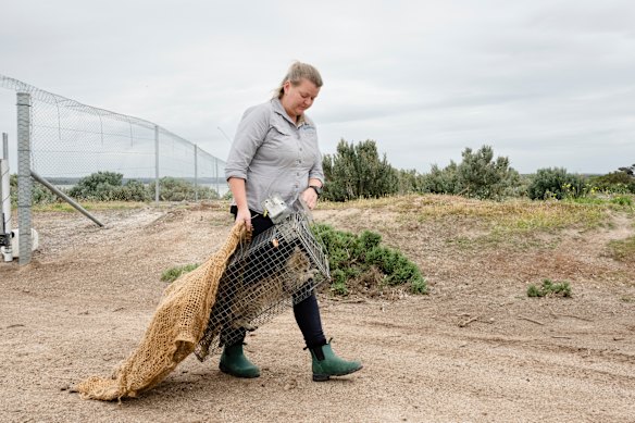 Chantelle Geissler with a cat that was caught in one of the many traps as part of the Feral Cat Eradication Program on Kangaroo Island.