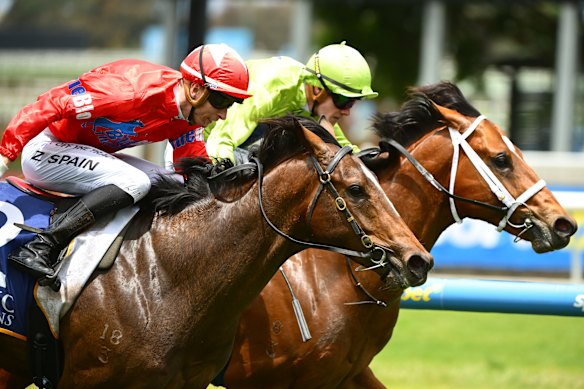 Stretan Ruler, right, battles eventual winner Eternal Warrior in the Merson Cooper at Caulfield on November 29.