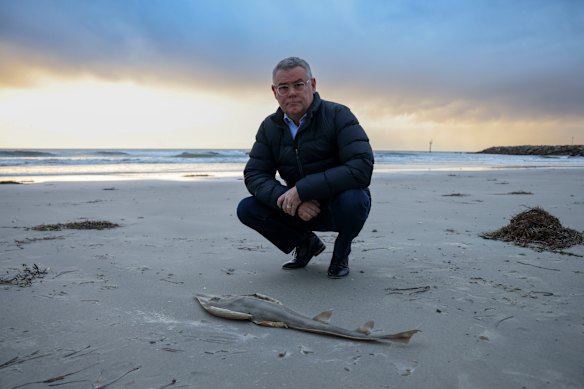 Environment Minister Murray Watt during a visit last July to areas in South Australia, at the mouth of the system, struck by a year-long algal bloom.