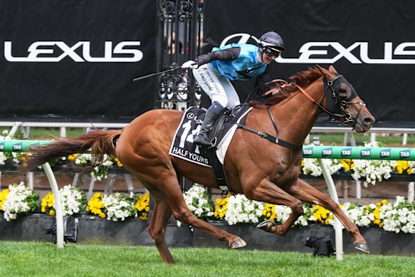 Jamie Melham wins the Melbourne Cup on Half Yours.