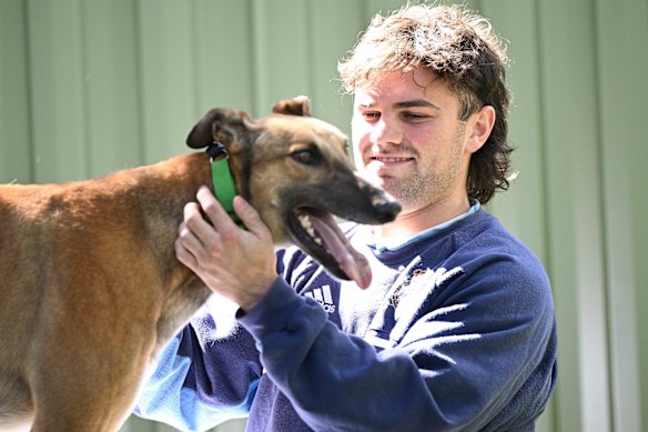 Hawthorn’s Nick Watson is with a four-legged friend here, but it’s the Western Bulldogs who could usurp the Hawks in the top eight.