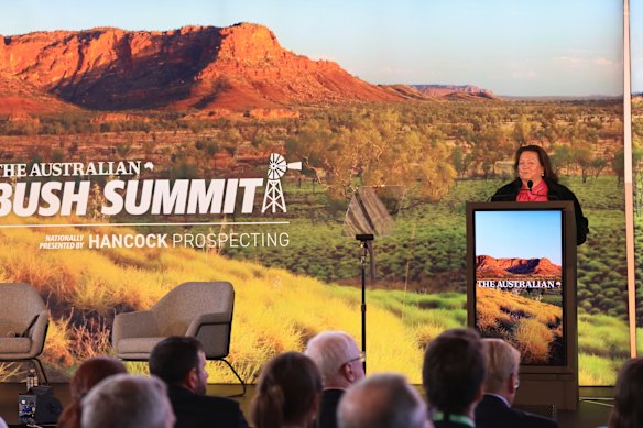 Mining magnate Gina Rinehart was heavily rumoured to be involved in the local Newsmax set up, but ultimately did not advertise with the venture.