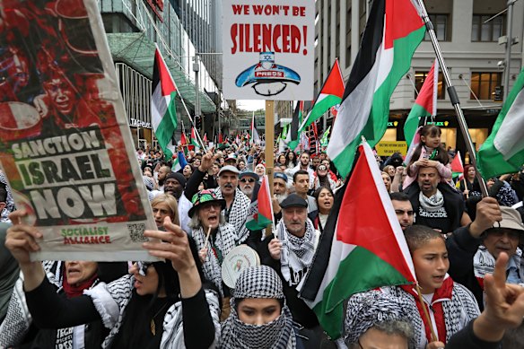 Pro-Palestine protesters have been gathering in Sydney each week for two years.