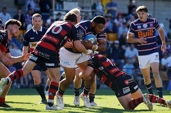Norths and Easts contest the 2024 Shute Shield grand final, under the new tackle height.