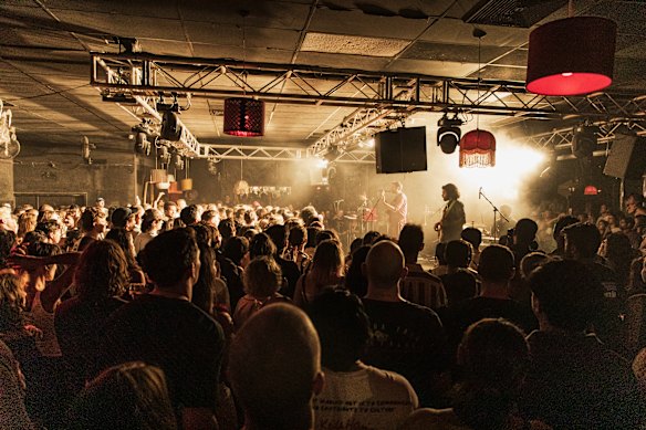 The Night Cat in 2024.