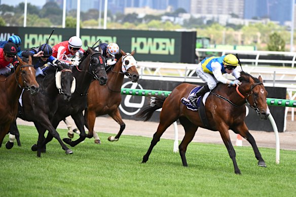  Welcometotheshow on its way to another victory.