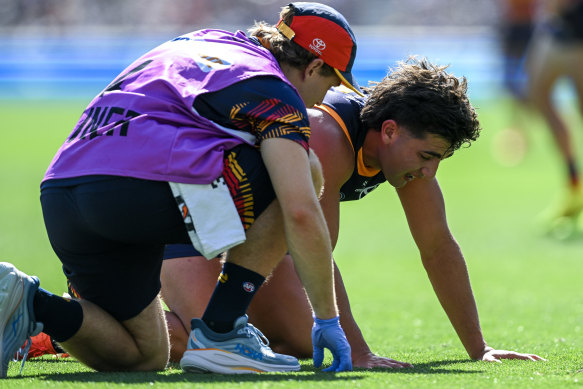 Adelaide’s Josh Rachele on his haunches after copping a nasty knock against North Melbourne.